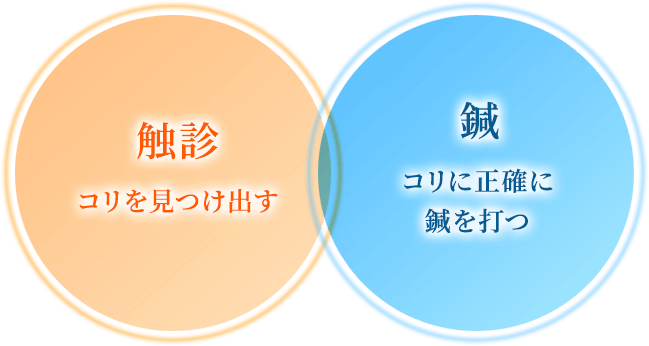 触診:コリを見つけ出す 鍼:コリに正確に鍼を打つ